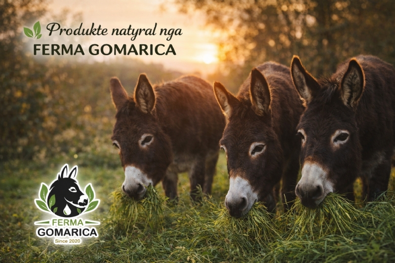 Produkte nga ferma gomarice per rritjen e imunitetit, produkte nga ferma gomarice per mbrojtjen e trupit natyrale, produkte nga ferma gomarice per organizem te forte,  produkte nga ferma gomarice per mbrojtje nga gripi dhe nga virozat