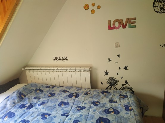 Bujtina Guesthouse Bjeshket E Nemura Lepushe dhoma me dy krevate tek Nga Agro Turizmi Albania